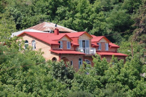 Zandarashvili Guest House